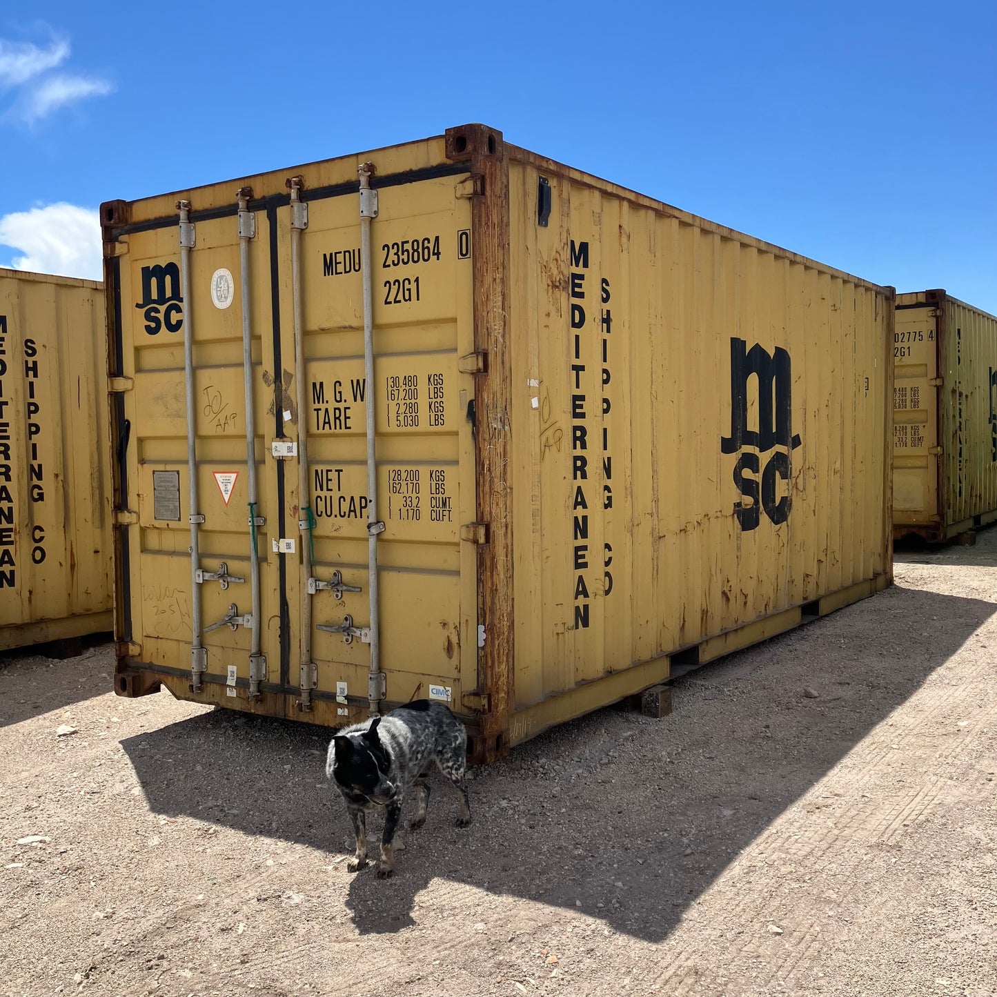 20' Used Shipping Container Preorder